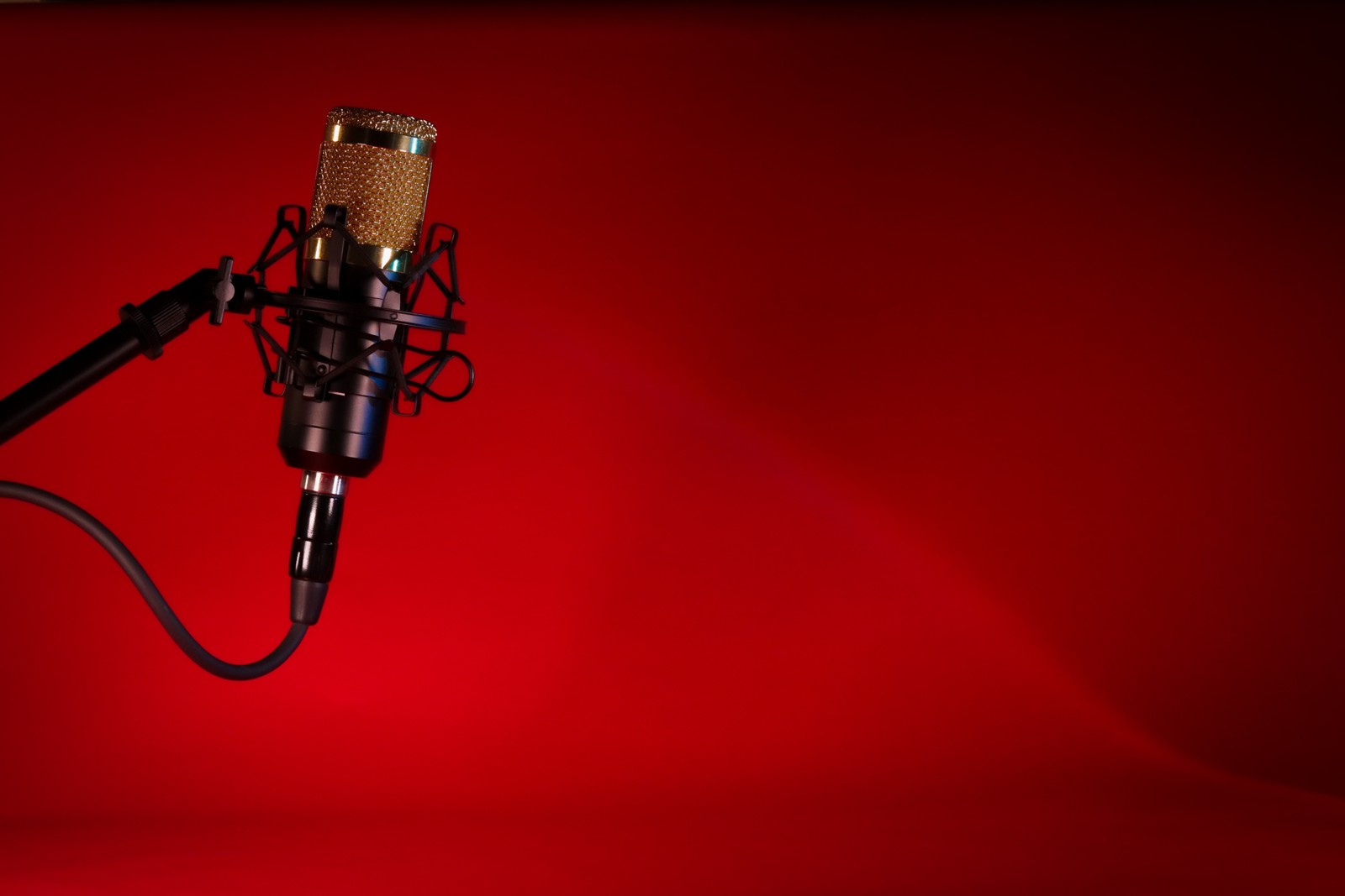 Studio microphone